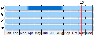Phenogram based on the literature