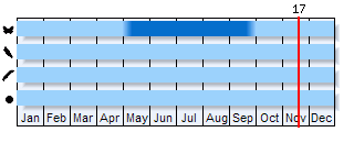 Phenogram based on the literature