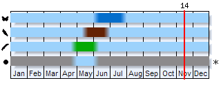 Phenogram based on the literature