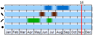 Phenogram based on the literature