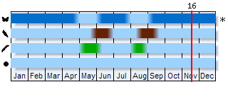 Phenogram based on the literature