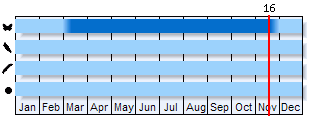 Phenogram based on the literature