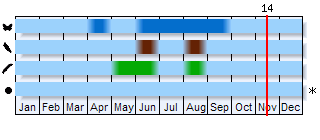 Phenogram based on the literature