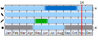 Phenogram based on the literature