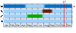 Phenogram based on the literature
