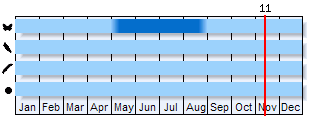 Phenogram based on the literature