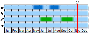 Phenogram based on the literature