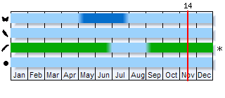 Phenogram based on the literature