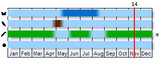 Phenogram based on the literature