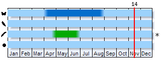 Phenogram based on the literature