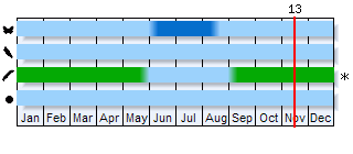 Phenogram based on the literature