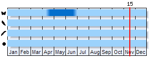 Phenogram based on the literature