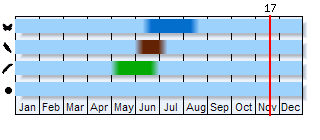 Phenogram based on the literature