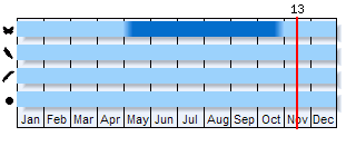 Phenogram based on the literature