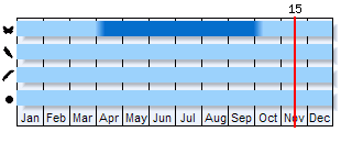 Phenogram based on the literature
