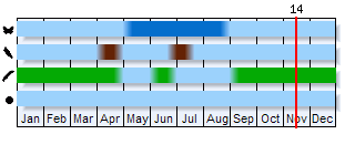Phenogram based on the literature