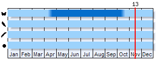 Phenogram based on the literature