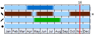 Phenogram based on the literature