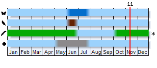Phenogram based on the literature