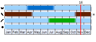 Phenogram based on the literature