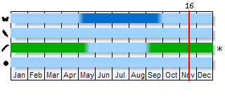 Phenogram based on the literature