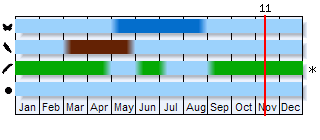 Phenogram based on the literature