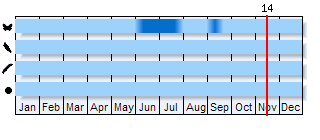 Phenogram based on the literature