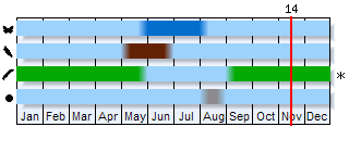 Phenogram based on the literature