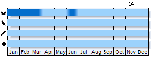Phenogram based on the literature