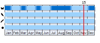 Phenogram based on the literature