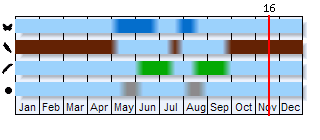 Phenogram based on the literature