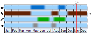 Phenogram based on the literature