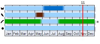 Phenogram based on the literature