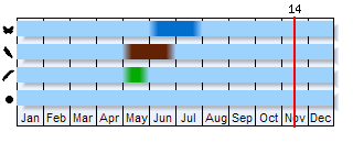 Phenogram based on the literature