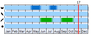 Phenogram based on the literature