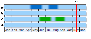 Phenogram based on the literature