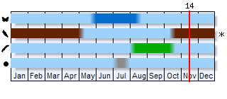 Phenogram based on the literature