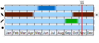 Phenogram based on the literature