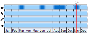 Phenogram based on the literature