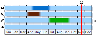Phenogram based on the literature