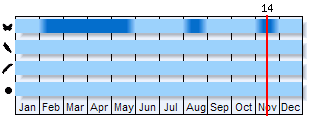 Phenogram based on the literature