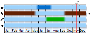 Phenogram based on the literature
