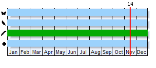 Phenogram based on the literature