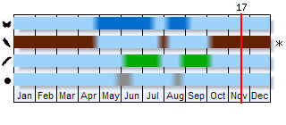 Phenogram based on the literature