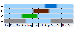 Phenogram based on the literature