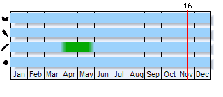 Phenogram based on the literature