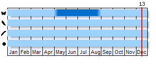 Phenogram based on the literature