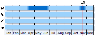 Phenogram based on the literature