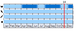 Phenogram based on the literature