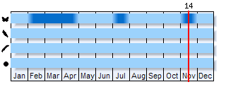 Phenogram based on the literature